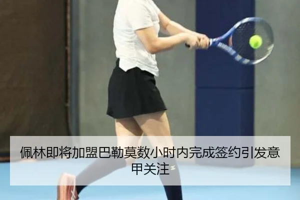 佩林即将加盟巴勒莫数小时内完成签约引发意甲关注